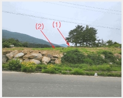  2025Ÿ��1169 ��� ���ֱ� ���̸� ������ 1279      ����(��)���