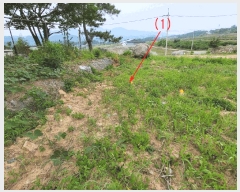  2025Ÿ��1169 ��� ���ֱ� ���̸� ������ 1279      ����(��)���