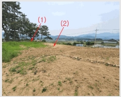  2025Ÿ��1169 ��� ���ֱ� ���̸� ������ 1279      ����(��)���