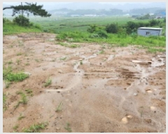  2025Ÿ��1169 ��� ���ֱ� ���̸� ������ 1279      ����(��)���