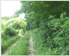  2025Ÿ��1206  �Ӿ߰��