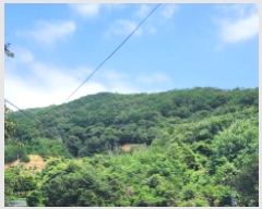  2025Ÿ��1206  �Ӿ߰��