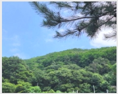  2025Ÿ��1206  �Ӿ߰��