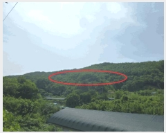  2025Ÿ��1206  �Ӿ߰��