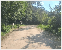  2025Ÿ��1381  �Ӿ߰��