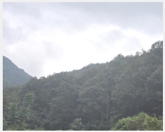  2025Ÿ��1381  �Ӿ߰��