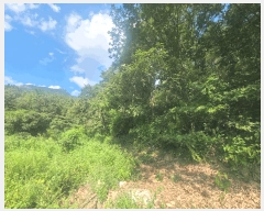  2025Ÿ��1381  �Ӿ߰��