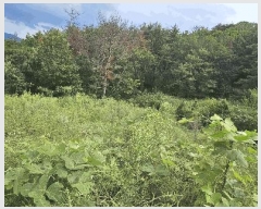  2025Ÿ��1405  ����