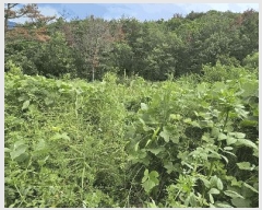  2025Ÿ��1405  ����