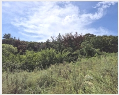  2025Ÿ��1405  ����