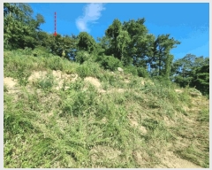  2025Ÿ��1411 ��� ���ֱ� û���� ���� ��134-9      ����(�Ӿ�)���