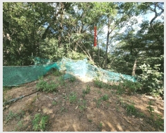  2025Ÿ��1411 ��� ���ֱ� û���� ���� ��134-9      ����(�Ӿ�)���