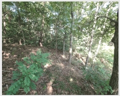  2025Ÿ��1411 ��� ���ֱ� û���� ���� ��134-9      ����(�Ӿ�)���