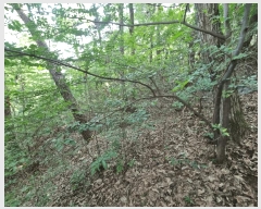  2025Ÿ��1411 ��� ���ֱ� û���� ���� ��134-9      ����(�Ӿ�)���