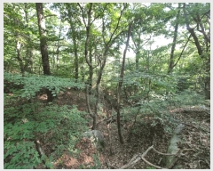  2025Ÿ��1411 ��� ���ֱ� û���� ���� ��134-9      ����(�Ӿ�)���