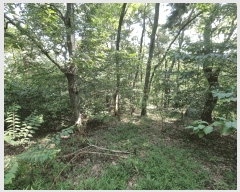  2025Ÿ��1411 ��� ���ֱ� û���� ���� ��134-9      ����(�Ӿ�)���