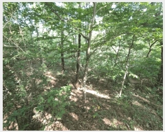  2025Ÿ��1411 ��� ���ֱ� û���� ���� ��134-9      ����(�Ӿ�)���