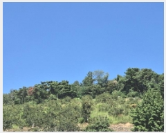  2025Ÿ��1411 ��� ���ֱ� û���� ���� ��134-9      ����(�Ӿ�)���