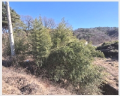  2025Ÿ10531  ֱ û  1085      ð