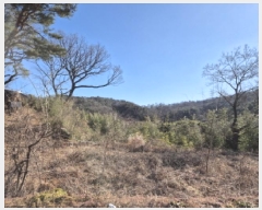  2025Ÿ10531  ֱ û  1085      ð