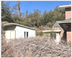  2025Ÿ10531  ֱ û  1085      ð