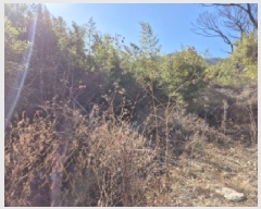  2025Ÿ10531  ֱ û  1085      ð