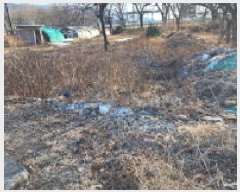  2025Ÿ��10616  �����