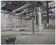  2025Ÿ10654  ߱ ߾ӱ 145, 6601ȣ (,üŸ)     ,繫ǰ