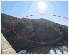  2025Ÿ��11310  �Ӿ߰��