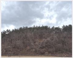  2025Ÿ��11310  �Ӿ߰��