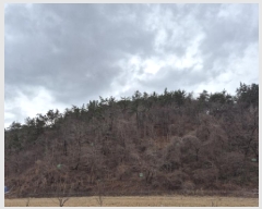  2025Ÿ��11310  �Ӿ߰��