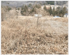  2025Ÿ��11481  �Ӿ߰��