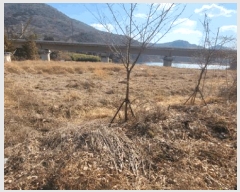  2025Ÿ��11481  �Ӿ߰��