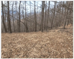  2025Ÿ��11481  �Ӿ߰��