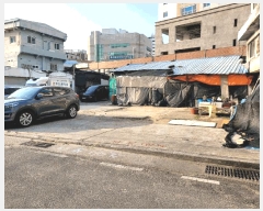  2025Ÿ��11513  ����