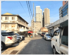  2025Ÿ��11513  ����