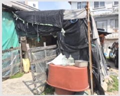  2025Ÿ��11513  ����