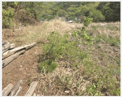  2025Ÿ11610  ֱ μ  1160      ()