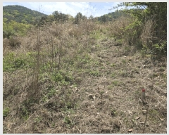  2025Ÿ11610  ֱ μ  1160      ()