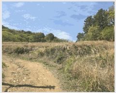  2025Ÿ11610  ֱ μ  1160      ()