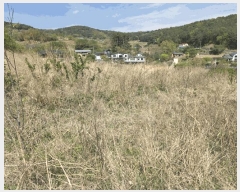  2025Ÿ11610  ֱ μ  1160      ()