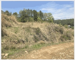  2025Ÿ11610  ֱ μ  1160      ()