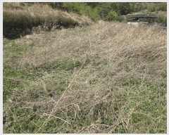  2025Ÿ11610  ֱ μ  1160      ()