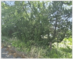  2025Ÿ��11664 ��� ���ֱ� ���̸� ��õ�� 1-6      ����,â�����