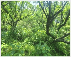  2025Ÿ��11690 �泲 ���� �ߺε� 53       ����(��1)���