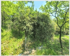  2025Ÿ��11690 �泲 ���� �ߺε� 53       ����(��1)���