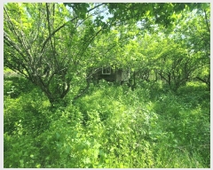  2025Ÿ��11690 �泲 ���� �ߺε� 53       ����(��1)���