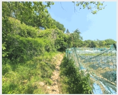  2025Ÿ��11690 �泲 ���� �ߺε� 53       ����(��1)���