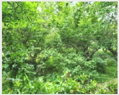  2025Ÿ��11690 �泲 ���� �ߺε� 53       ����(��1)���