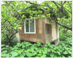  2025Ÿ��11690 �泲 ���� �ߺε� 53       ����(��1)���